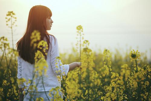 特别打假全文小说免费_徐凡云歌陆煜精彩阅读