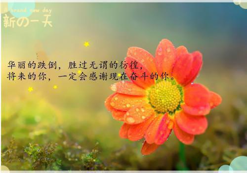 叶柒林婉娴小说名字 我当炮灰千金这些日子，操碎了心章节试读