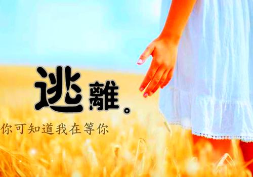 心的第七次颤动：全文+后续+结局小说（姜颜苏砚）热门全文免费阅读已完结_心的第七次颤动：全文+后续+结局最新章节列表（姜颜苏砚）