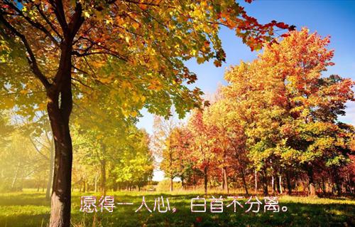 小说（陆嘉芳向君唯）全文免费阅读无弹窗大结局_(陆嘉芳向君唯)陆嘉芳向君唯小说免费阅读无弹窗最新章节列表（陆嘉芳向君唯）