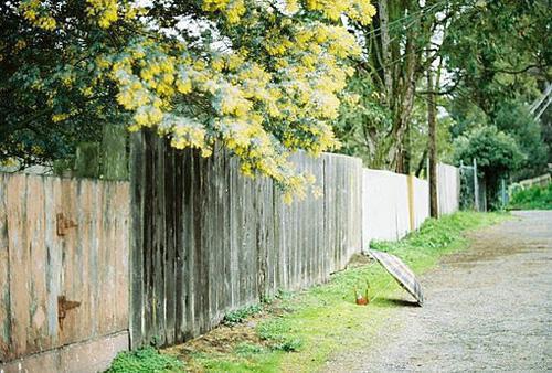 江小月程璋小说（江小月程璋）全文免费阅读无弹窗大结局_江小月程璋小说最新章节列表（江小月程璋）